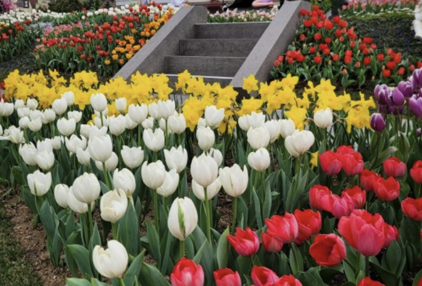 에버랜드 입장료