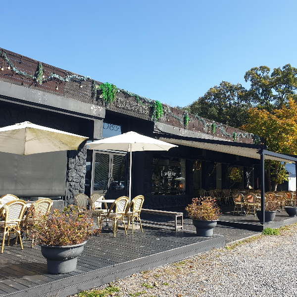 고양 카페 다위스(DAWIS): 맛에 대한 고집과 애견 동반이 가능한 카페