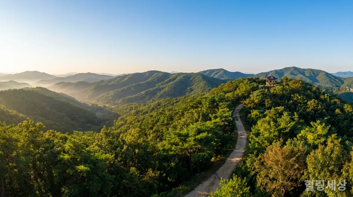 광활하게 펼쳐진 푸른 숲의 전경
