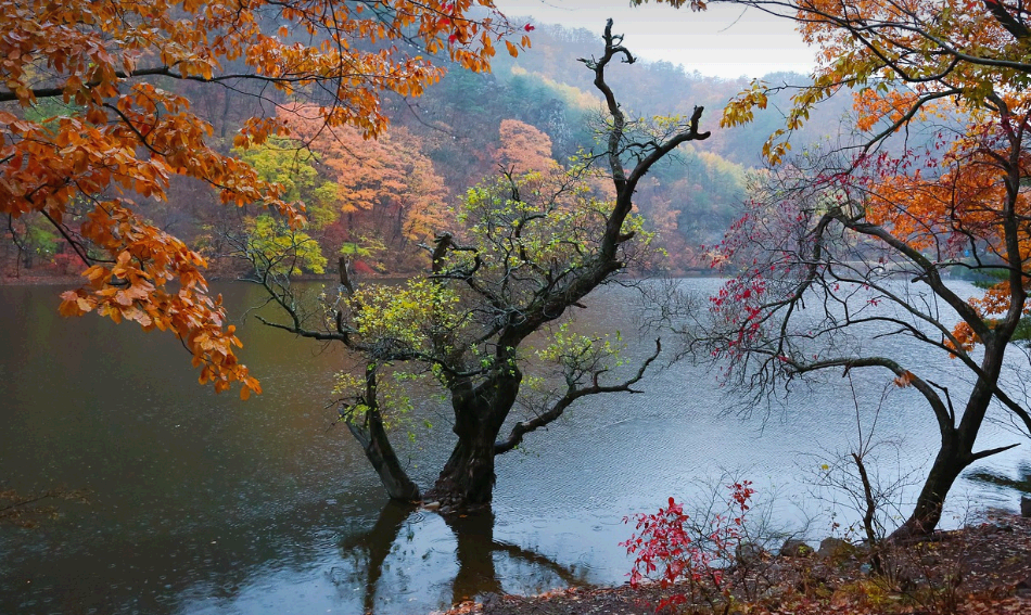 청송 주왕산