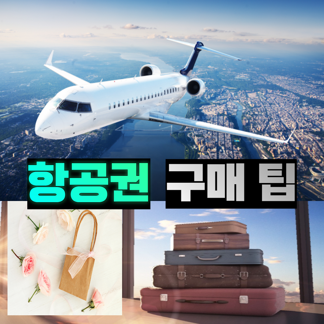 일반 항공과 저가 항공 비행기 항공권 구매