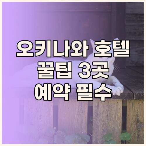 고민 끝! 오키나와 호텔 예약 전 꼭
