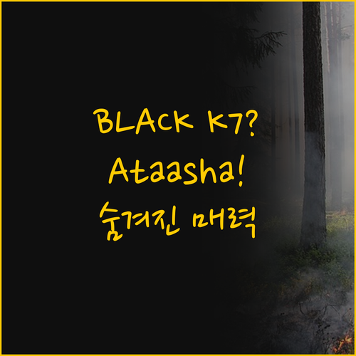 휴대용 미니 세탁기 BLACK K7과..