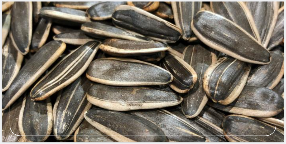 이들 씨앗은 식물성 단백질과 아르기닌을 제공하며, 특히 아르기닌의 이뇨 작용을 통해 혈압을 낮추고 전반적인 심혈관 건강을 개선합니다.