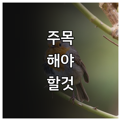 2025 대덕승마장 사회적 약자 국가..