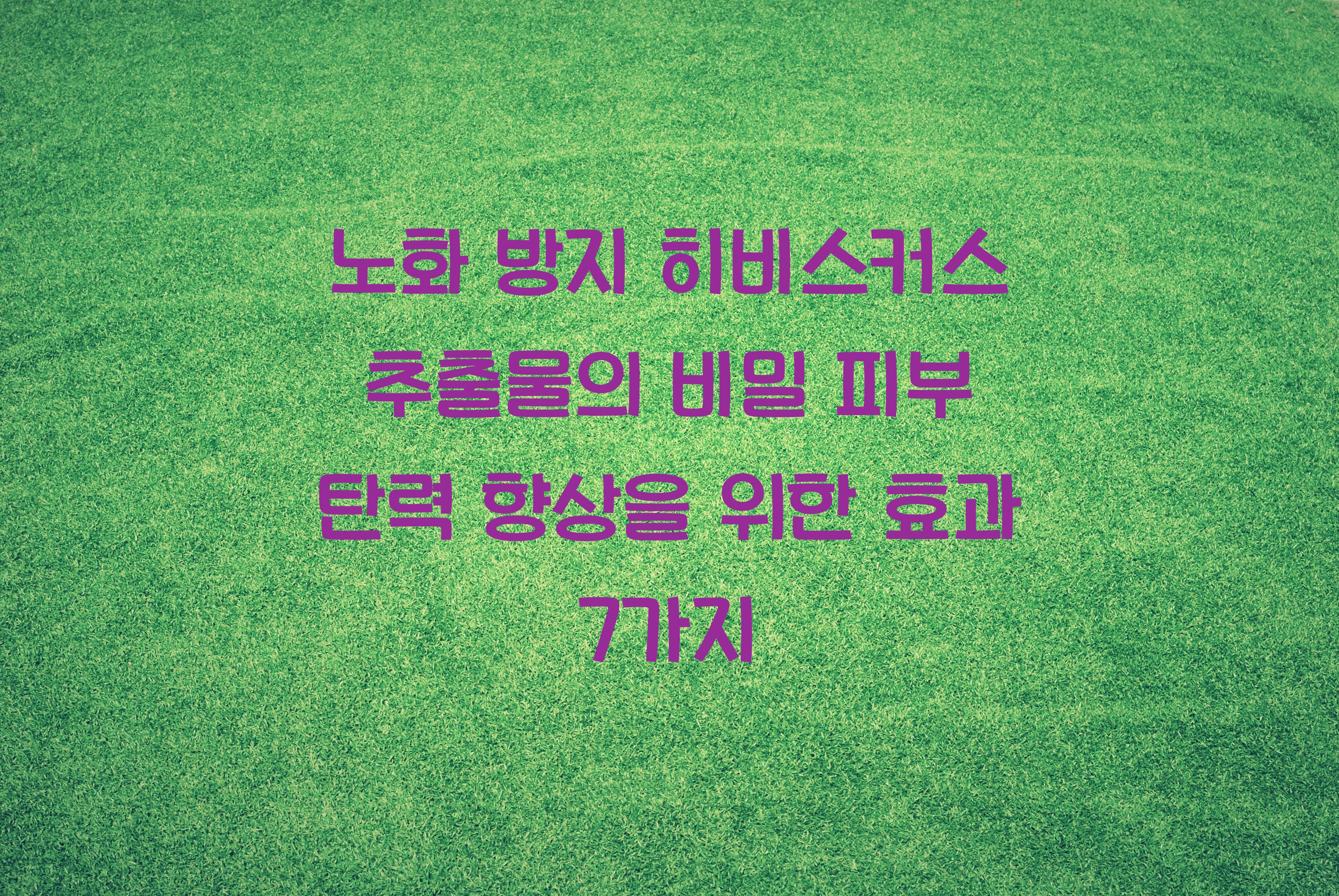 노화 방지 히비스커스 추출물