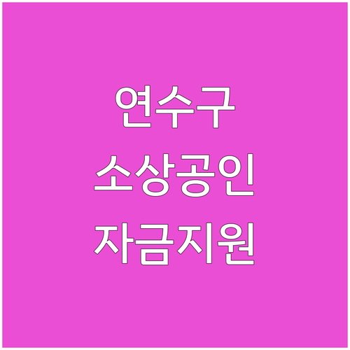 2025 인천 연수구 소상공인 자금 ..