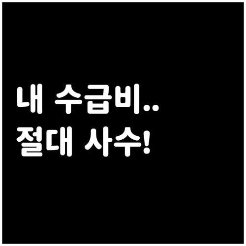 내 소중한 수급비 지키는 압류방지 전..