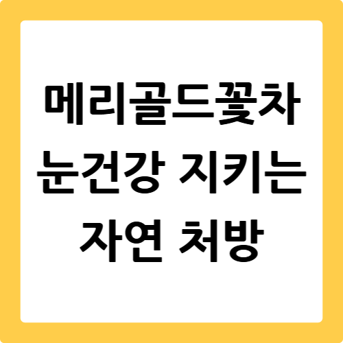 메리골드 꽃차 효능