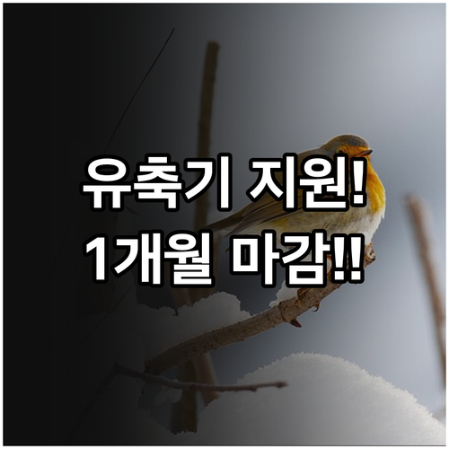 2025년 처인구 산모 유축기 지원 ..