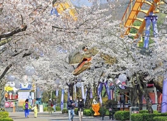 서울랜드 벚꽃길