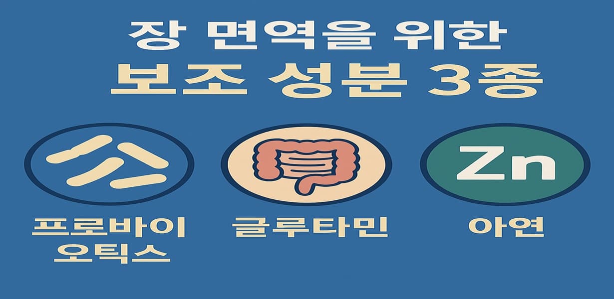 “장 면역력 보완을 위한 프로바이오틱스, 글루타민, 아연 성분을 정리한 인포그래픽 이미지”