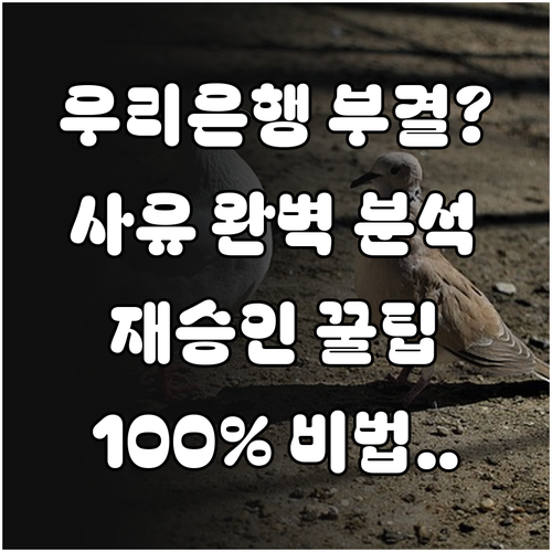 우리은행 마이너스통장 부결 사유 확인..