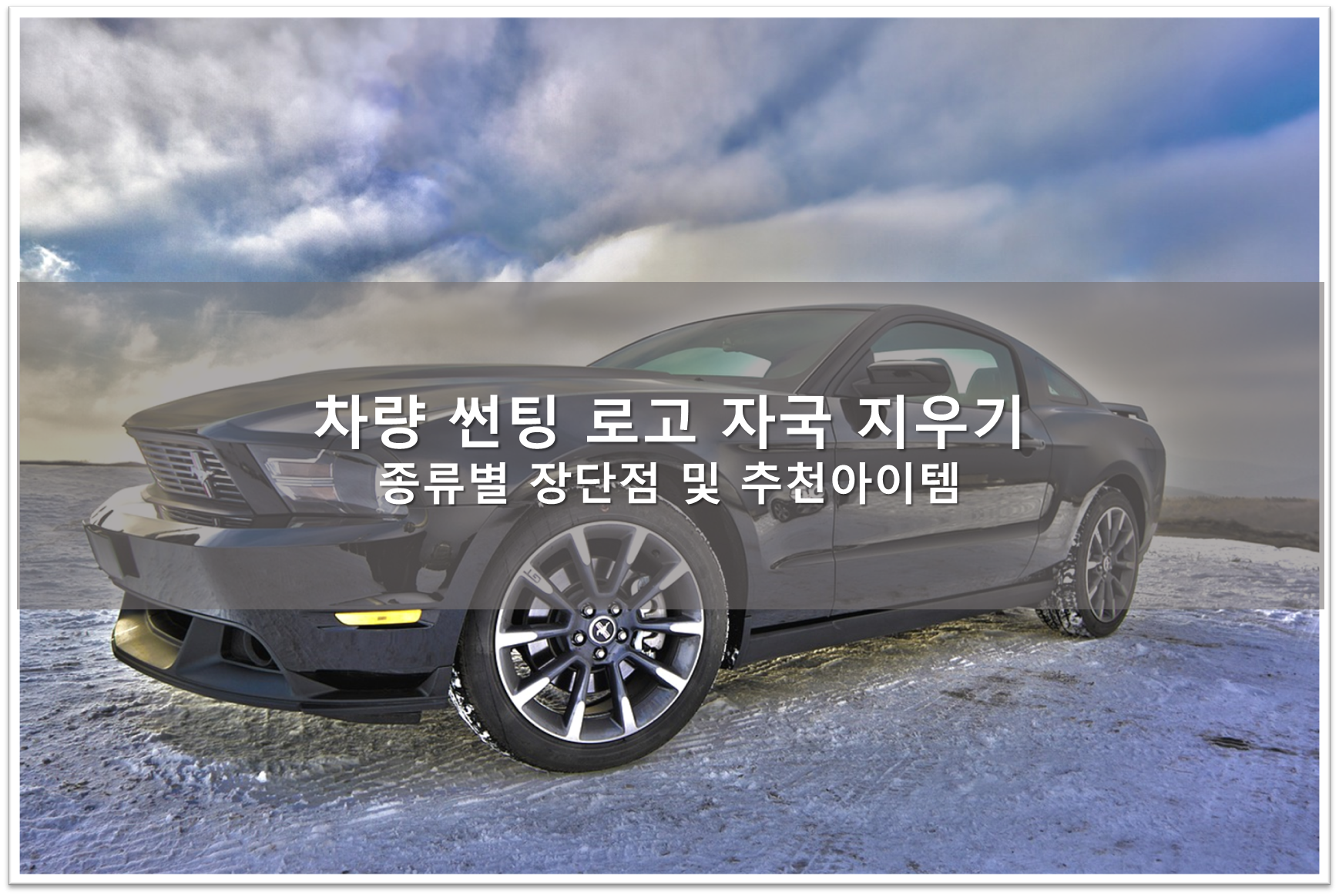 썬팅 로고 지우기