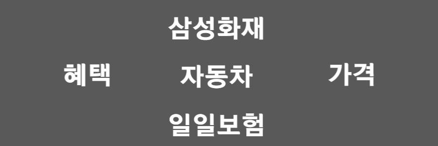 삼성화재 자동차 일일보험