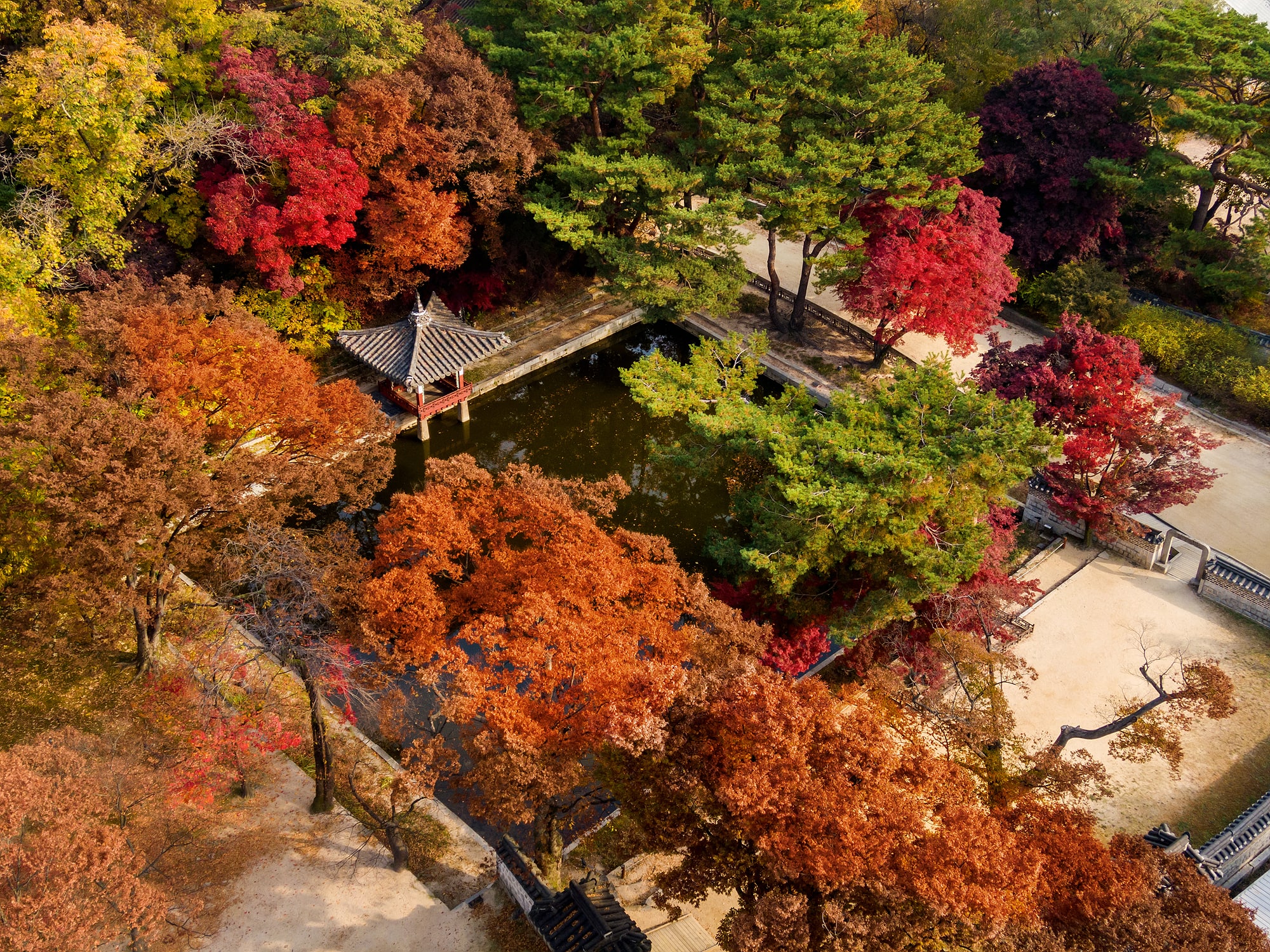 창덕궁(비원)_애련지