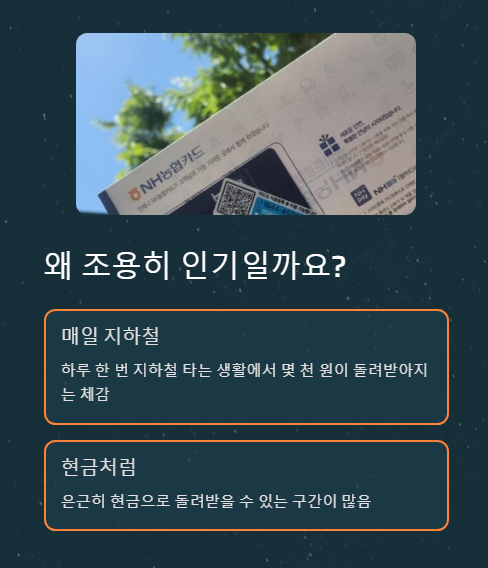 왜 조용히 인기일까요?