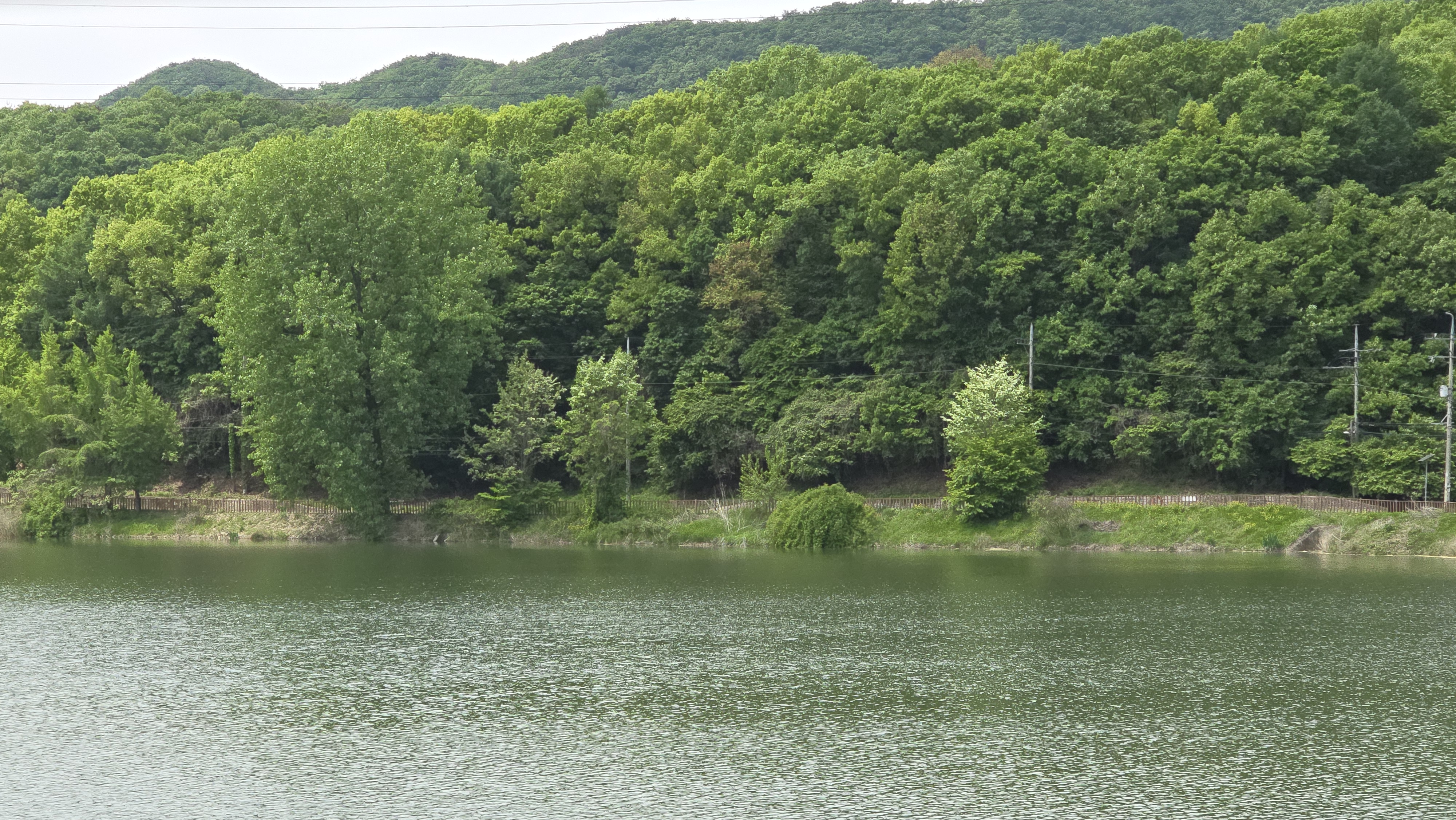 군포 주막보리밥