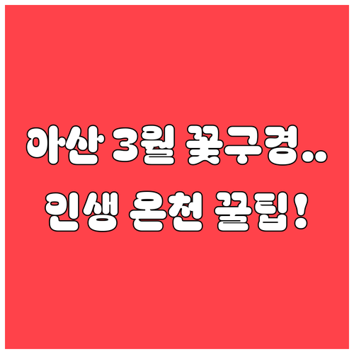 아산 3월 여행의 모든 것 꽃구경 명..