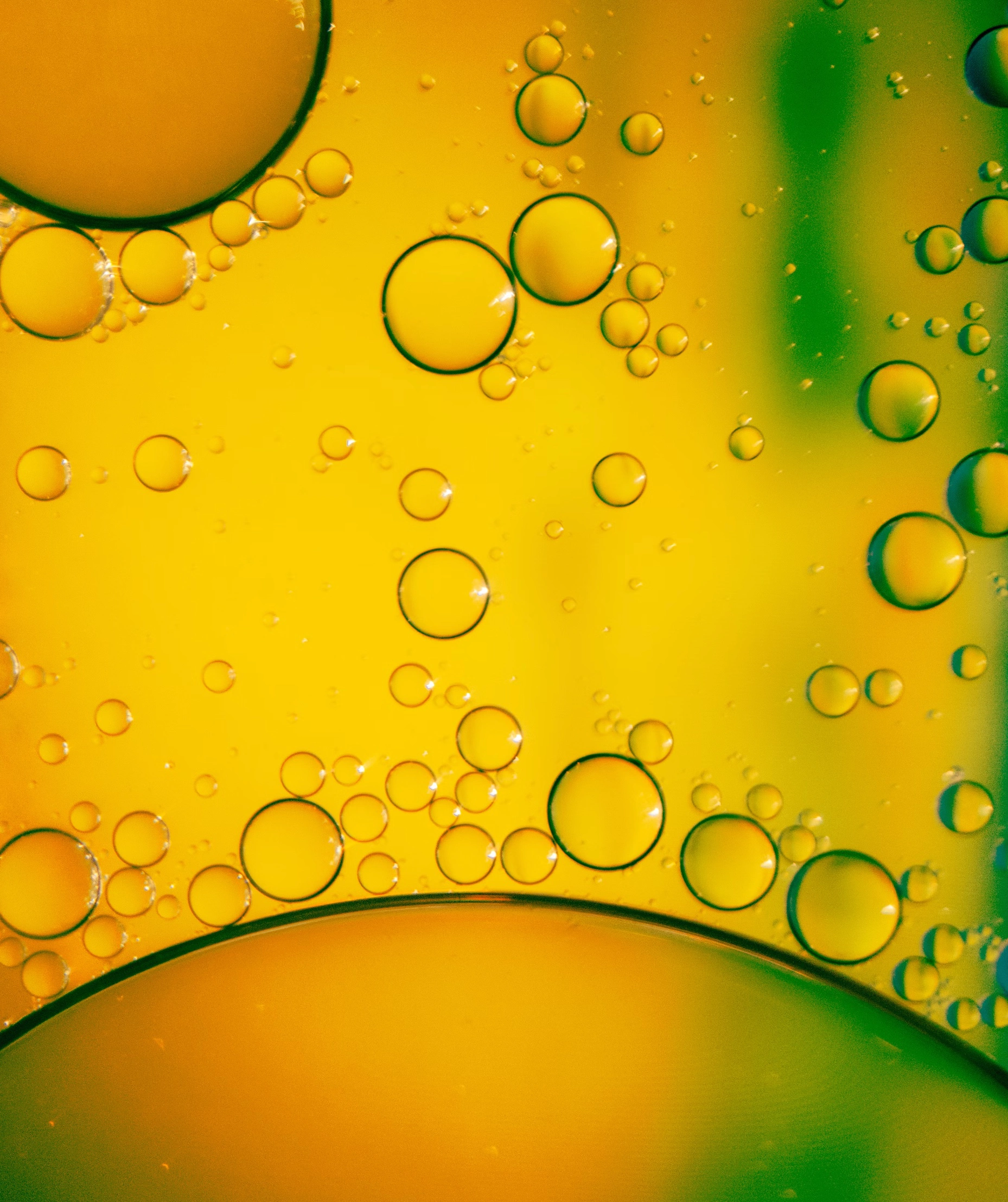 아보카도오일 발연점