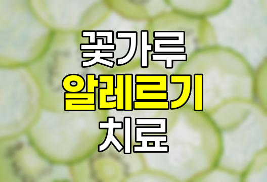 꽃가루 알레르기, 증상, 원인, 치료 및 약물 완벽 가이드 관련 정보