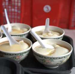 단백질 많은 음식 식물성 동물성