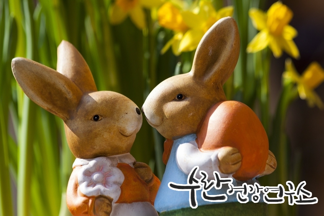 한쪽 귀가 아파요17