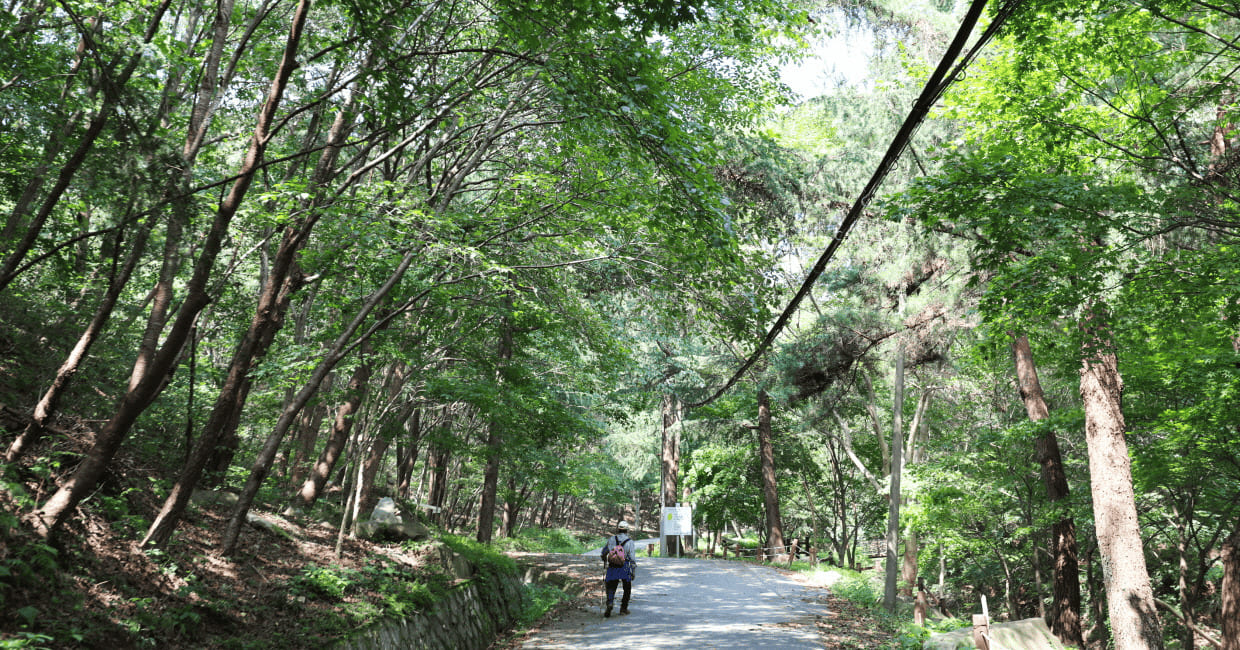 용봉산