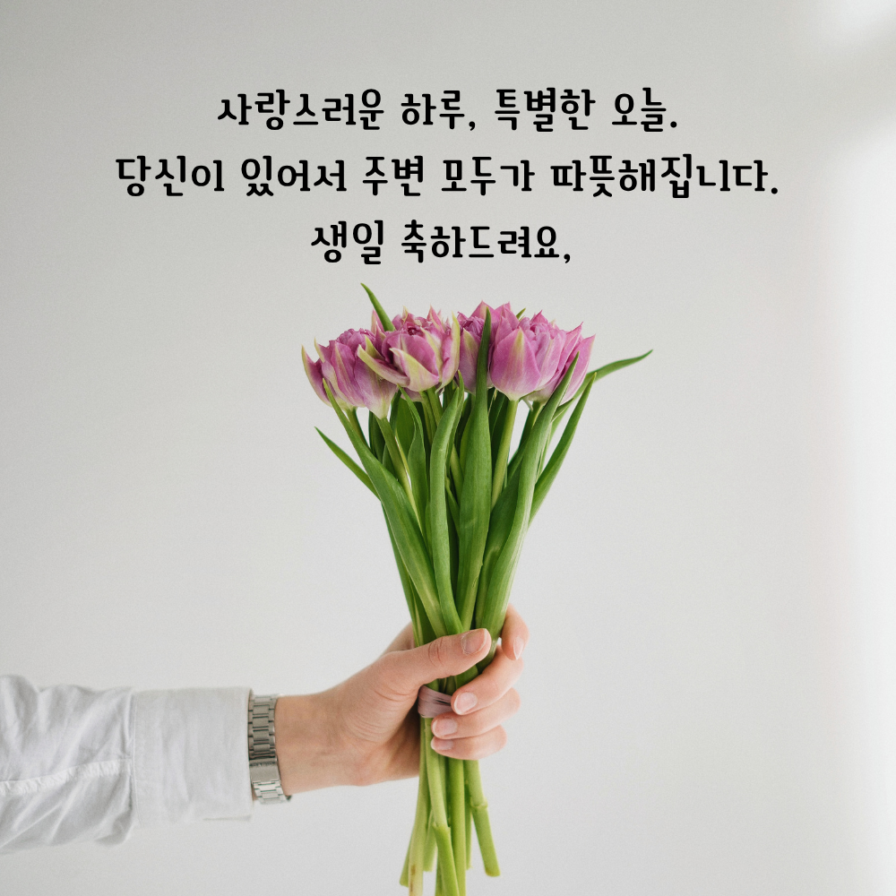 생일 축하 메세지 꽃다발 이미지 그림 사진 모음