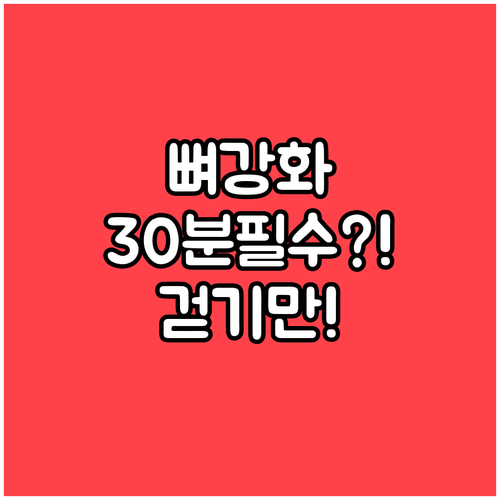 매일 골다공증에 좋은 걷기 시간 30..