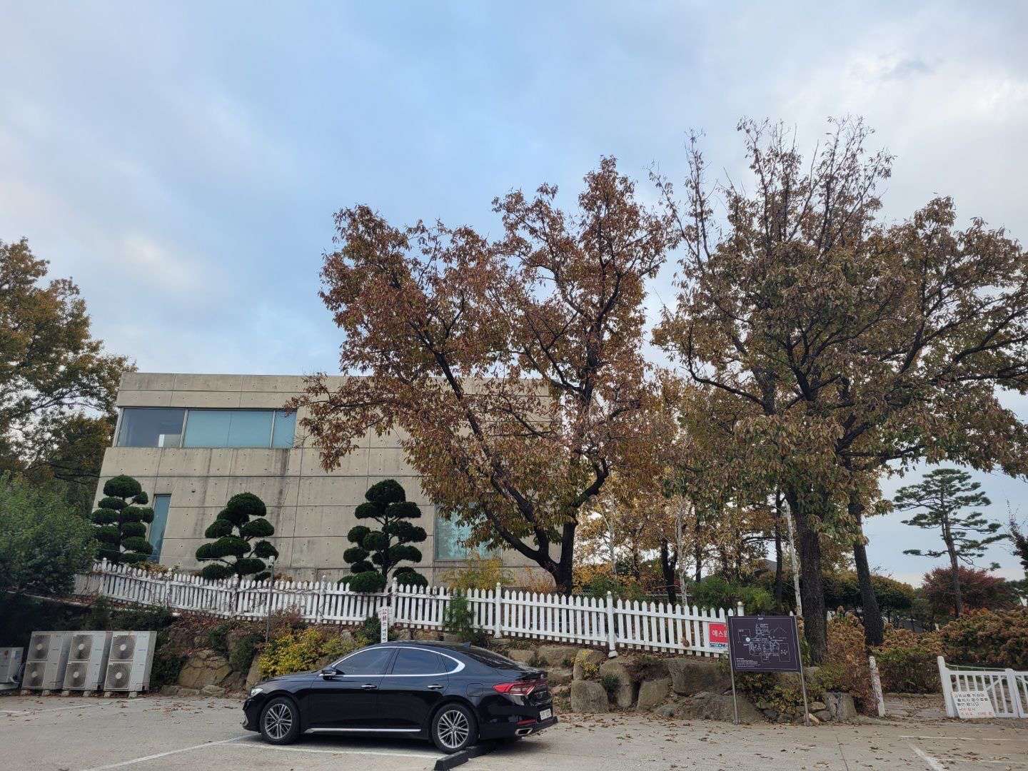 마호가니 주차장