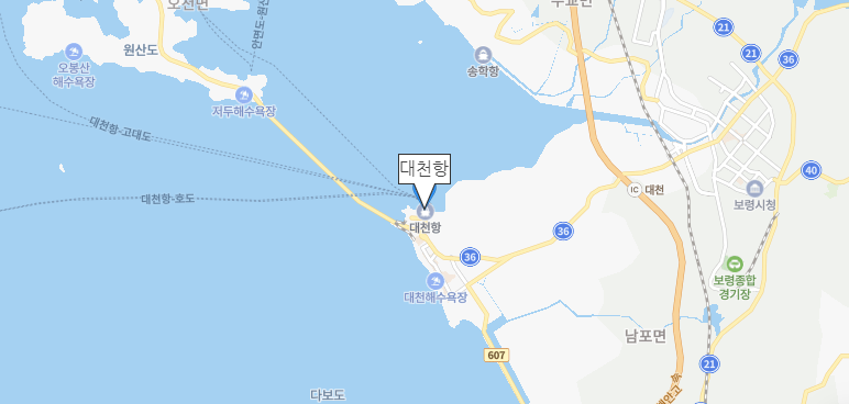 대천항