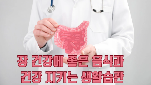 장 건강에 좋은 음식과 생활습관 영양제