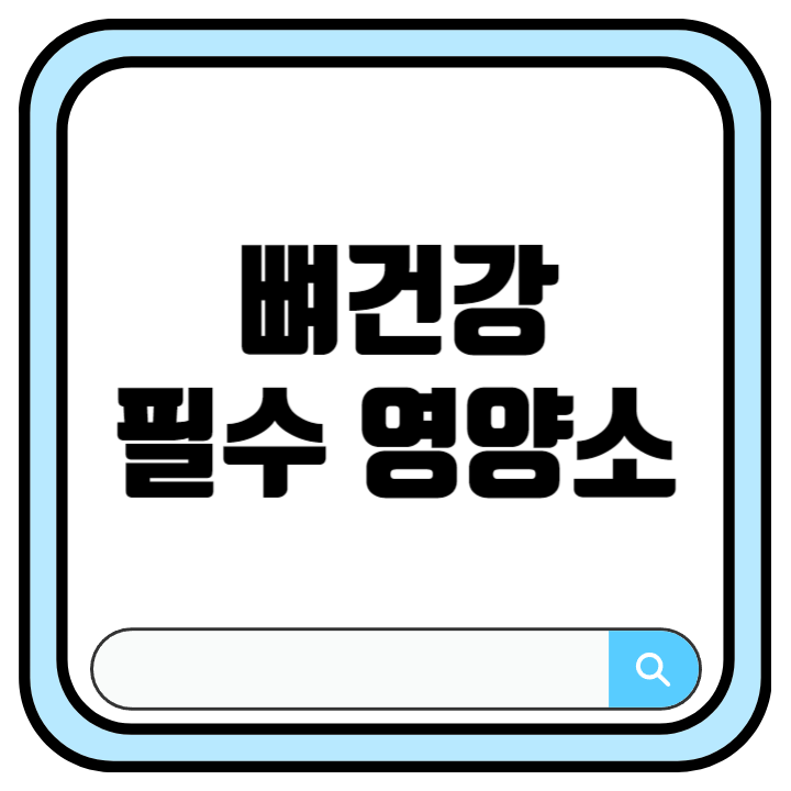 뼈건강 필수 영양소