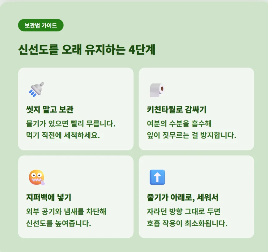 "씻지 말고 보관, 키친타월로 감싸기, 지퍼백에 넣기, 세워서 보관하기 등 상추 신선도 유지 4단계 가이드"