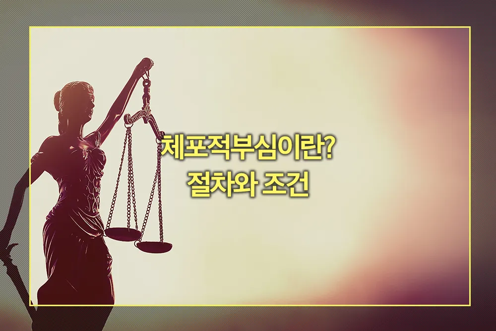 체포적부심 뜻 절차 조건
