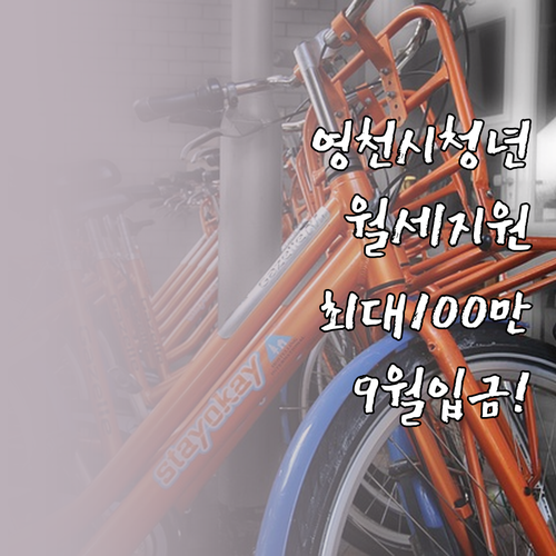 영천시 청년월세지원 9월 중 입금 소..