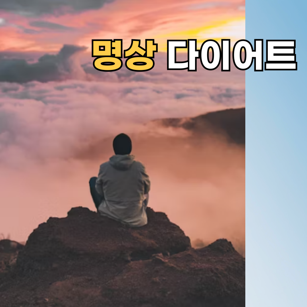 명상 다이어트