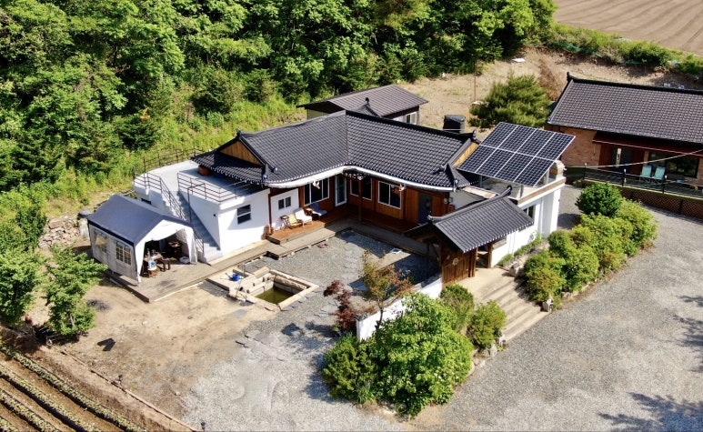 유명한 지역 축제 횡성 담금주용 더덕 축제