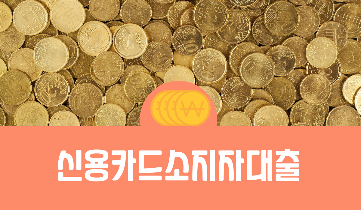 신용카드 소지자 대출