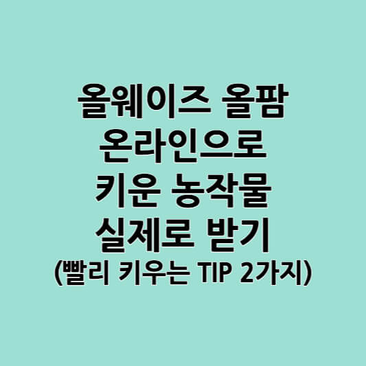 올웨이즈 올팜 온라인으로 키운 농작물 실제로 받기