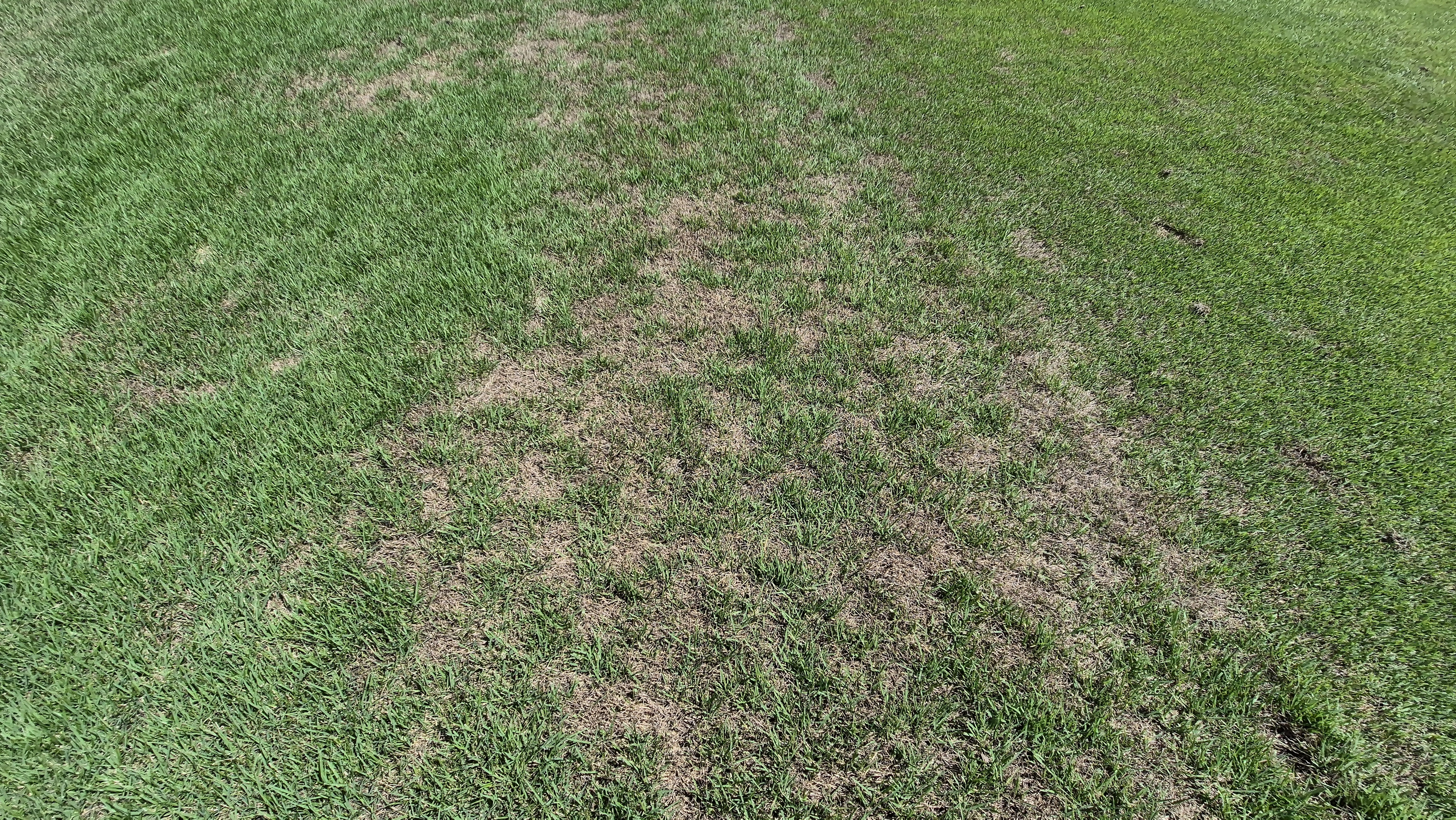 SG 아름다운cc 라운드 후기