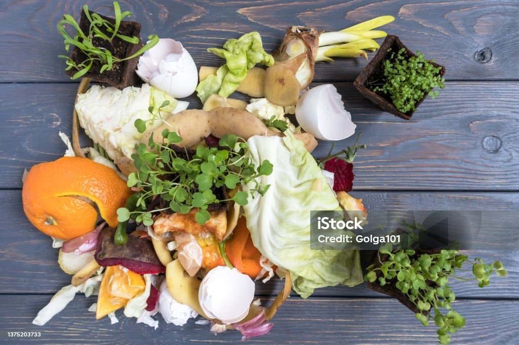 남은 음식 활용 아이디어 10가지