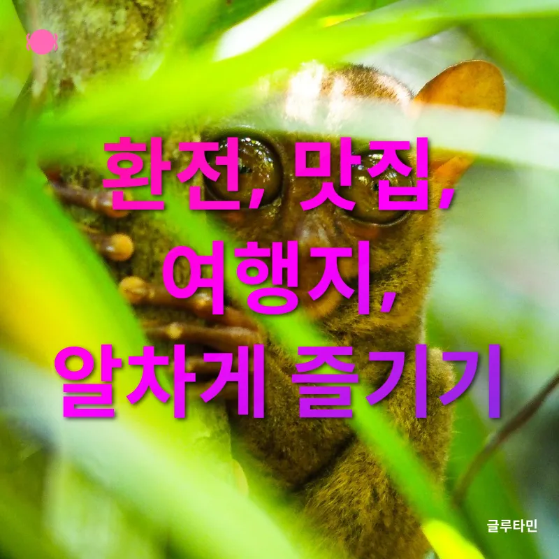 보홀 여행_3