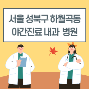 성북구 하월곡동 야간진료 내과 병원 리스트 (18시 이후 늦게까지하는 병원)