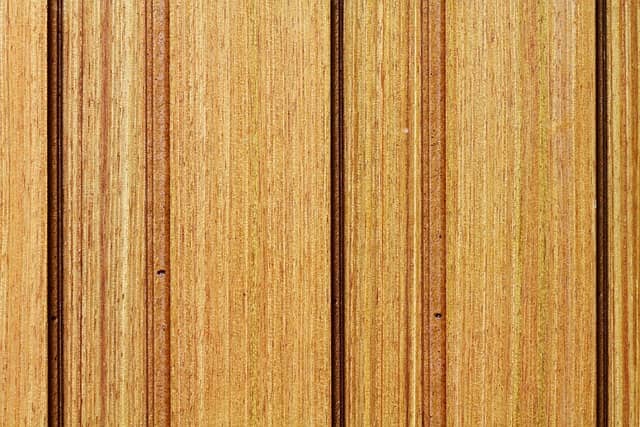 나무 원목 사진