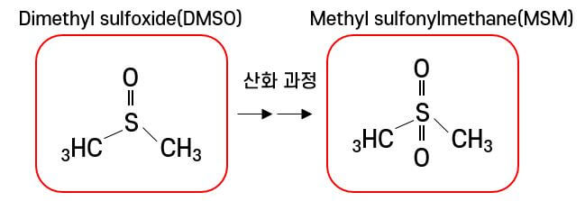 호관원 성분 및 원료 엠에스엠의 화학 반응식