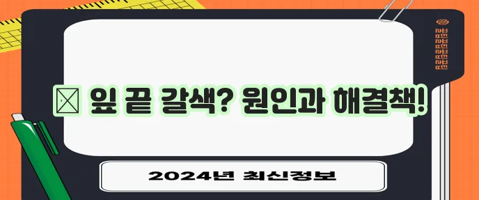 식물 잎 끝 갈변 원인과 해결 방법