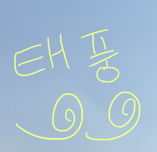 태풍의 위험성과 대피요령