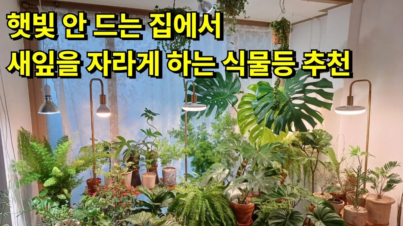 타이머 세팅 자동점등 소등루틴 식물등사용 습관 만들기 편리한 관리_7